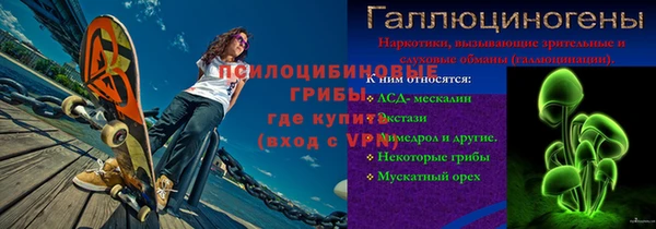 ГАЛЛЮЦИНОГЕННЫЕ ГРИБЫ Лабытнанги