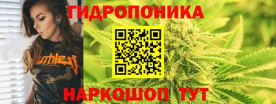 PSILOCYBIN Берёзовский