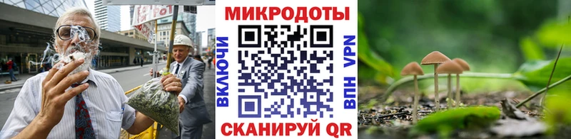 мориарти как зайти Челябинск Галлюциногенные грибы ЛСД