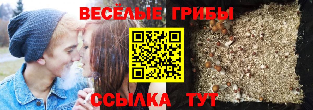 Челябинск  Псилоцибиновые грибы прущие грибы  Вход с VPN 