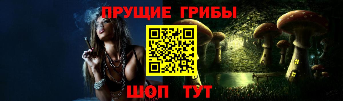 Псилоцибиновые грибы Psilocybine cubensis Челябинск